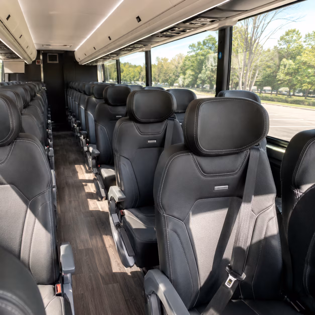 Henderson School Event Transportation party bus exterior