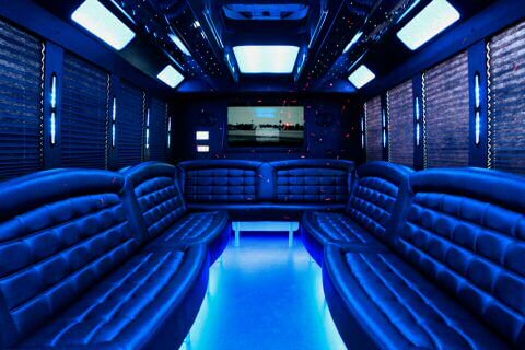 the-lakes 50 passenger party bus interior