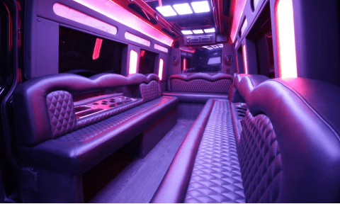 Chula Vista 14 Passenger Sprinter Bus Interior